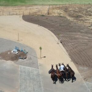 Paso Caballos